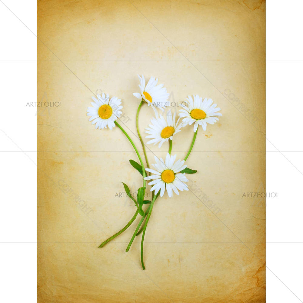 Vintage Composition With A Bouquet — custom-size art design 5001643
