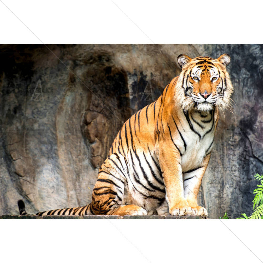 Bengal Tiger — custom-size art design 5001656