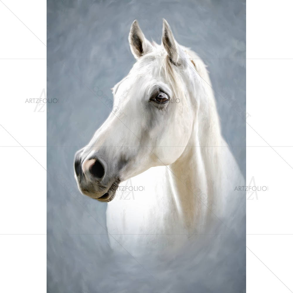Portrait Of A White Horse D2 — Animals custom art by ArtzFolio