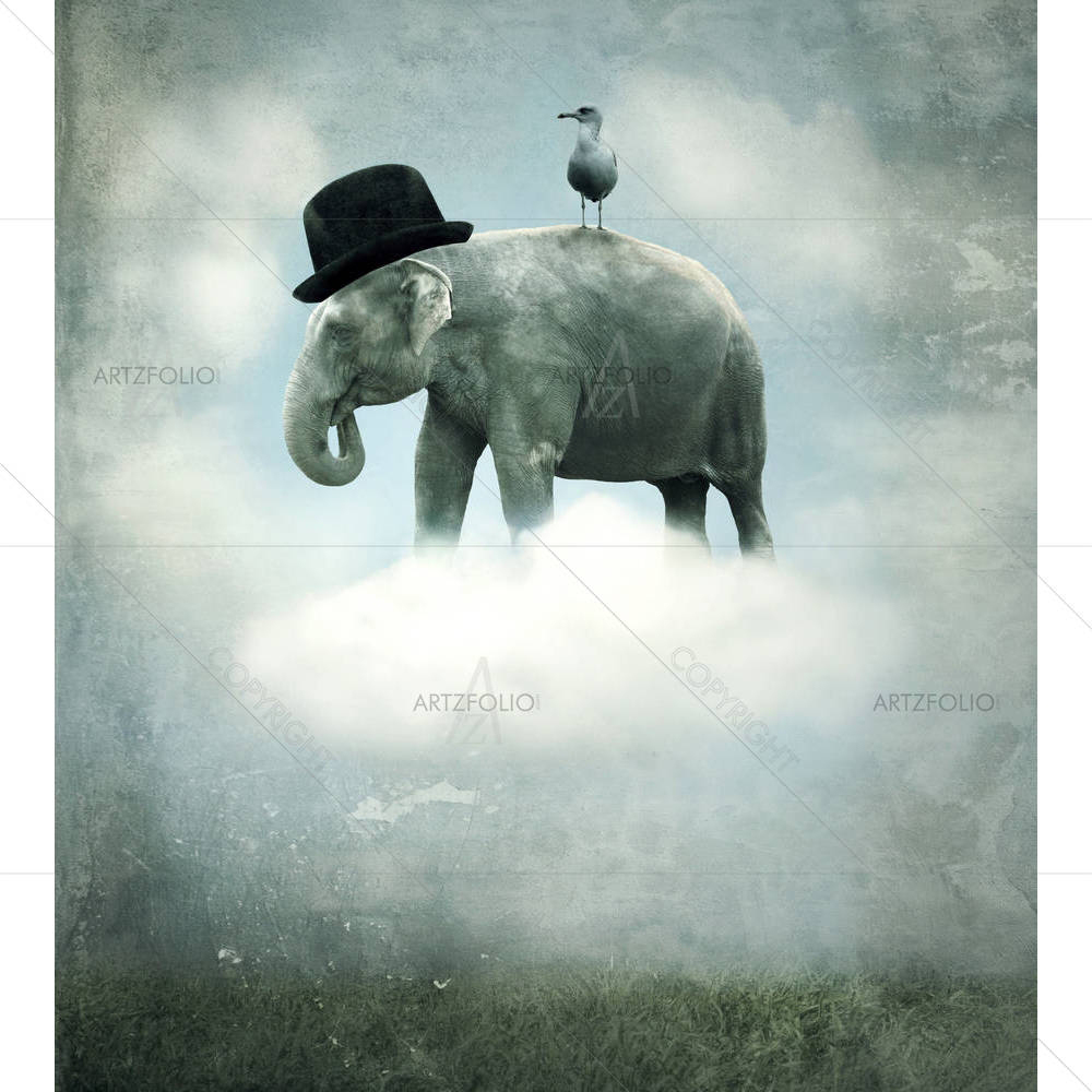 Elephant With A Hat & A Gull — Abstract custom art by ArtzFolio