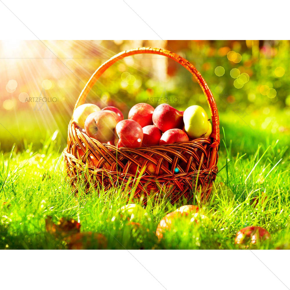 Organic Apples In The Basket Orchard — custom-size art design 5001714