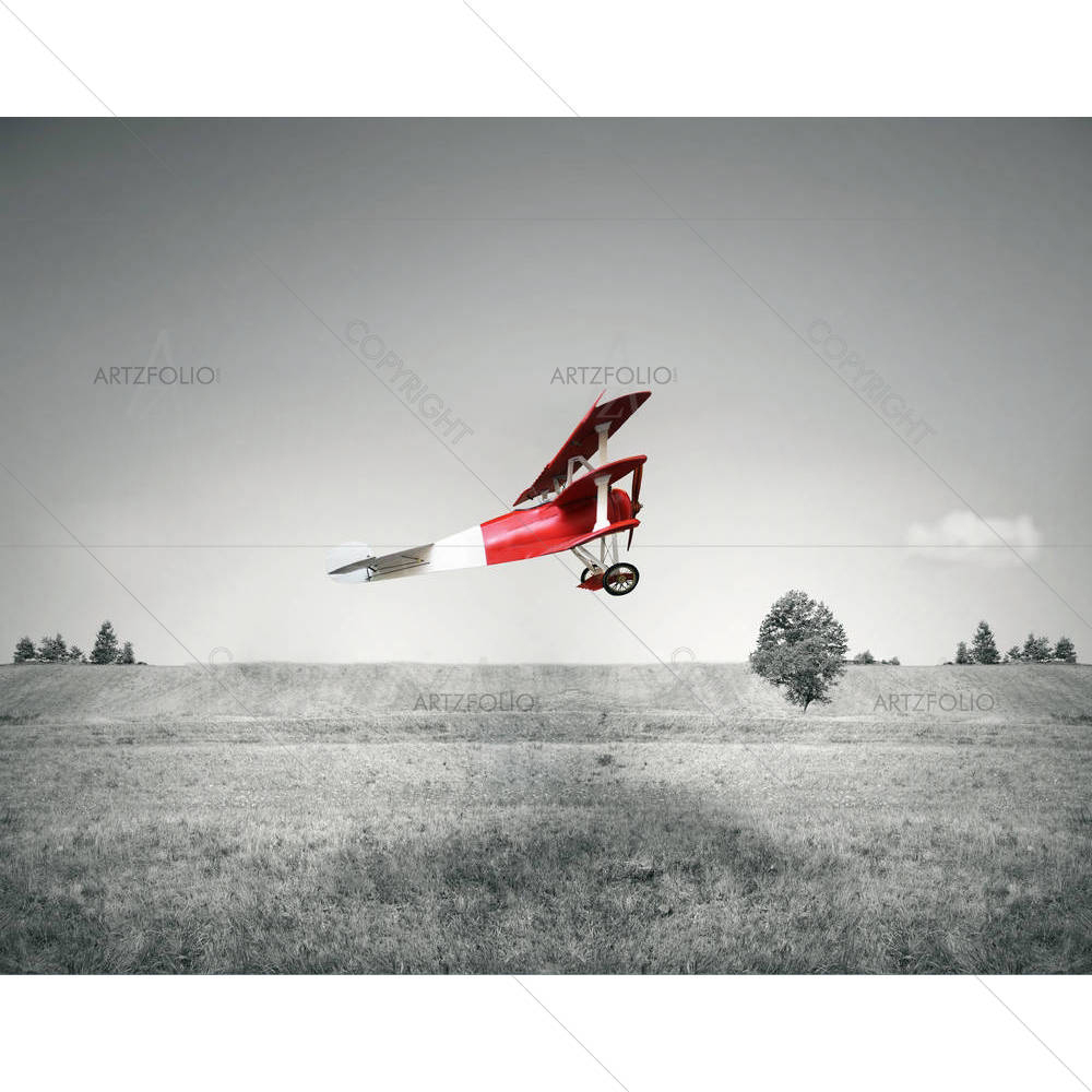 Fantasy Flight — custom-size art design 5001754