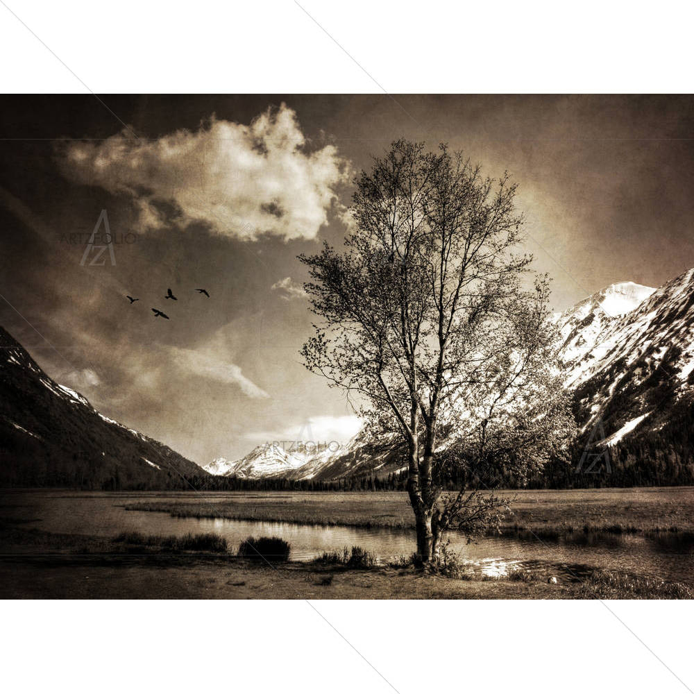 Moody Alaskan Vintage Landscape — custom-size art design 5001759