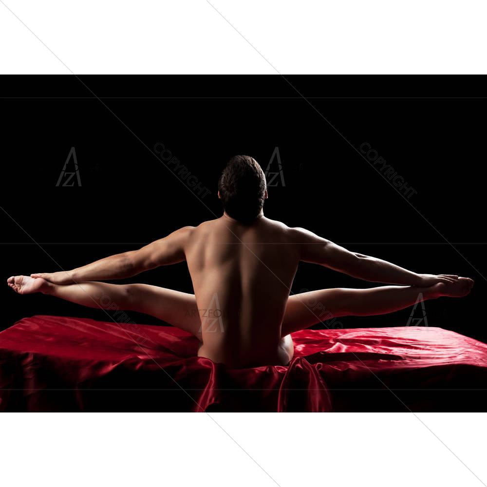 Couple Having Sex — custom-size art design 5001811