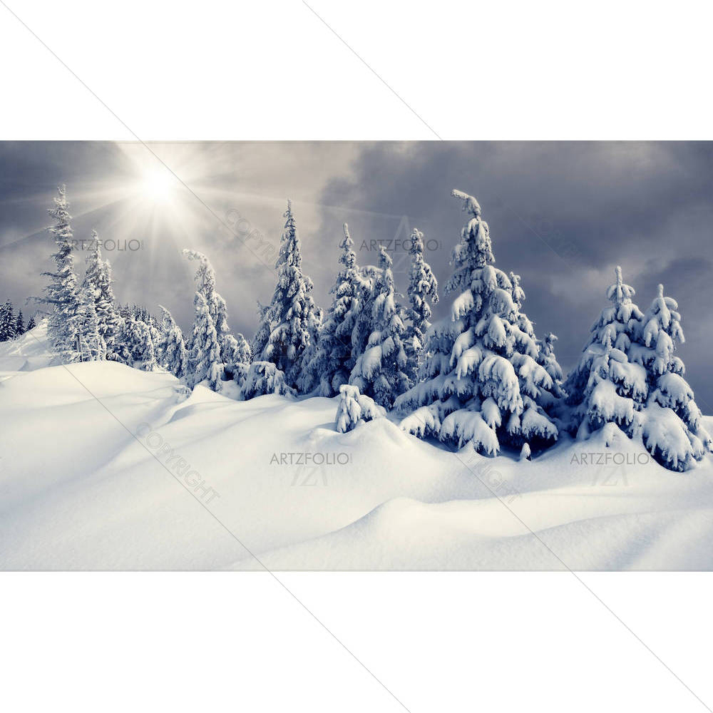 Winter Landscape D4 — custom-size art design 5001856