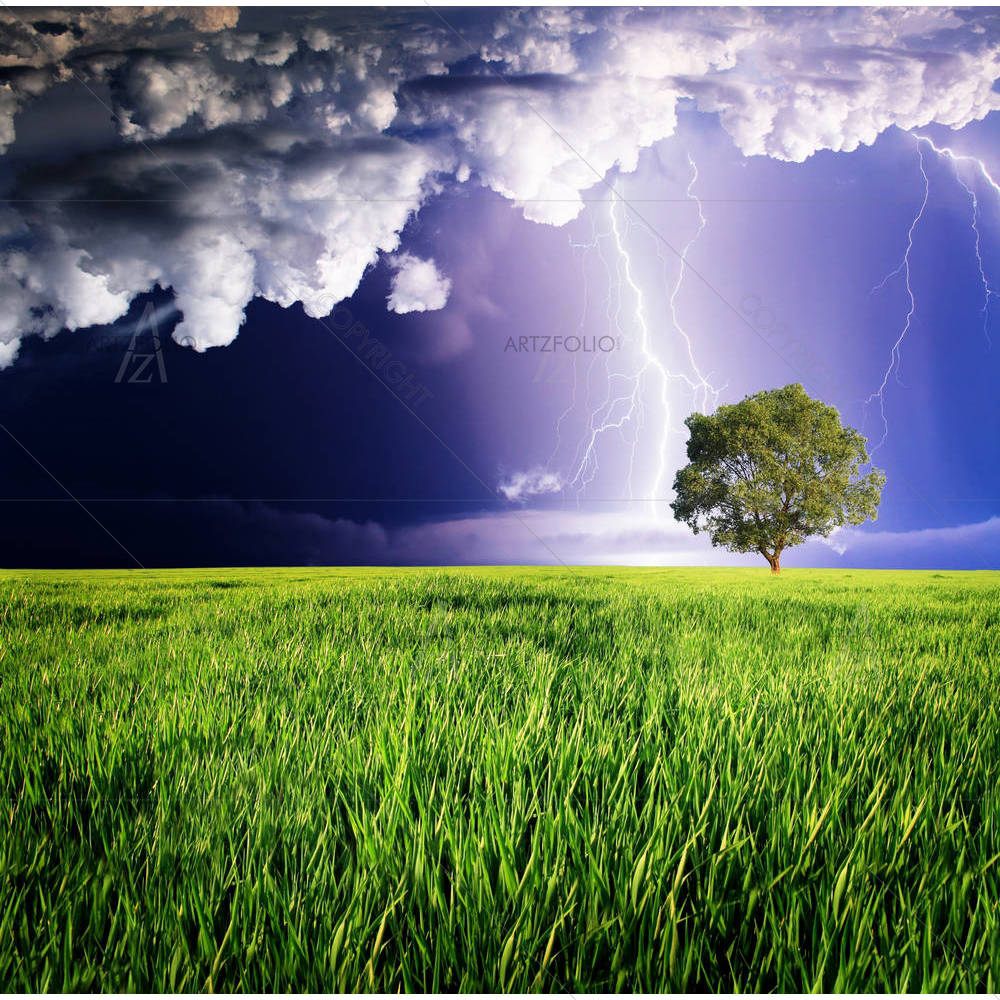 Thunderstorm With Lightning D2 — custom-size art design 5001861