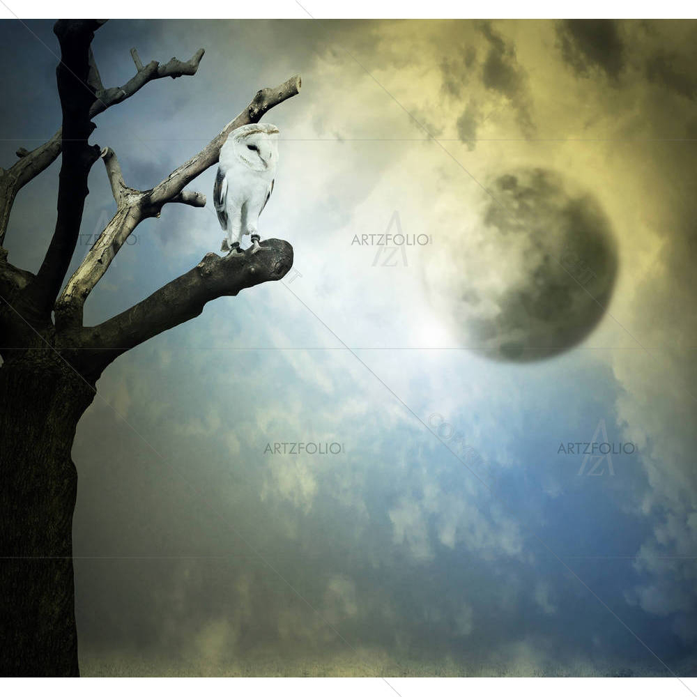 Barn Owl On A Tree — custom-size art design 5001871