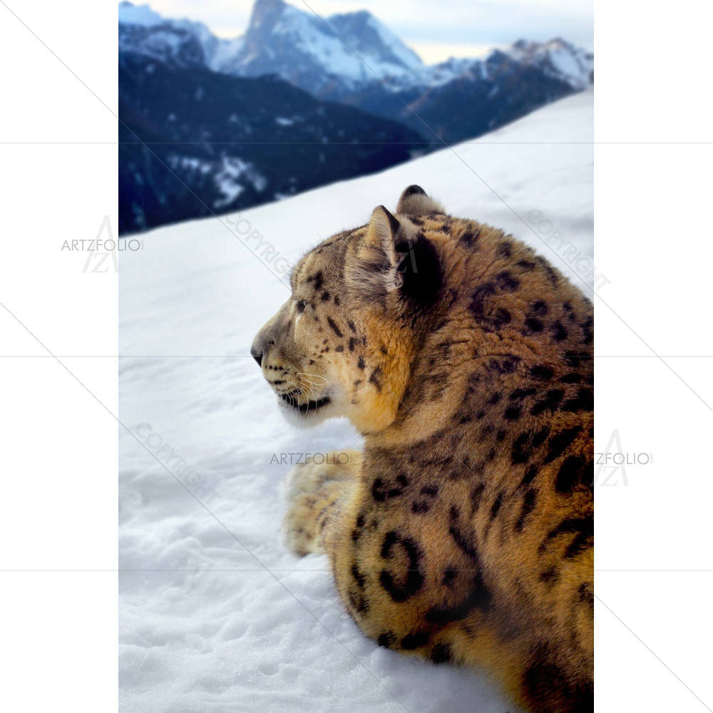 Snow Leopard — Mountains custom art by ArtzFolio
