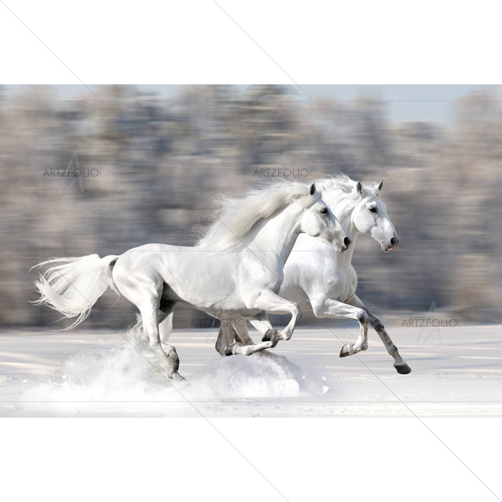 Two White Horses In Winter — custom-size art design 5001921
