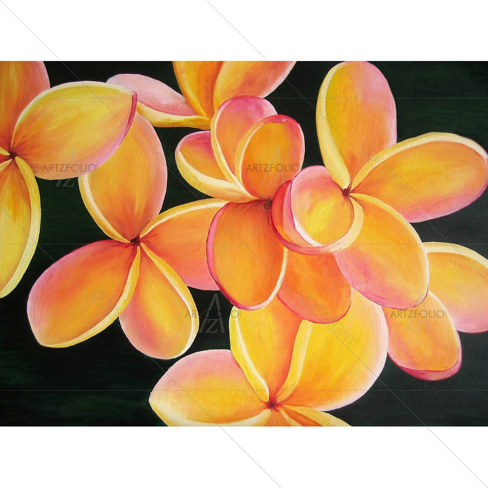Orange Prumeria Flowers — custom-size art design 5001991