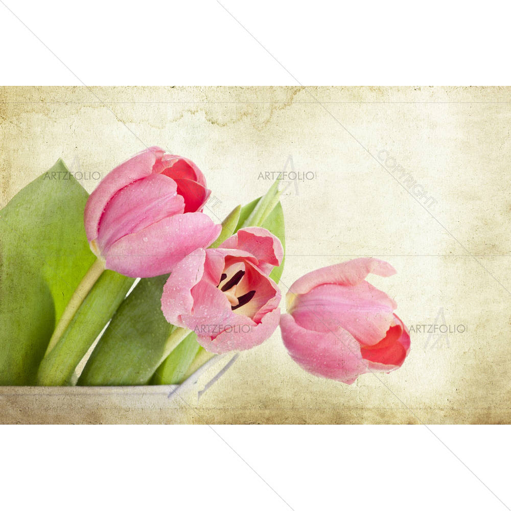 Vintage Tulips — Botanical custom art by ArtzFolio