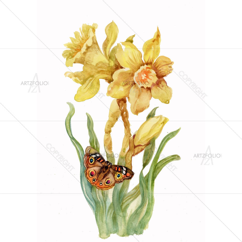 Yellow Narcissus — Botanical custom art by ArtzFolio