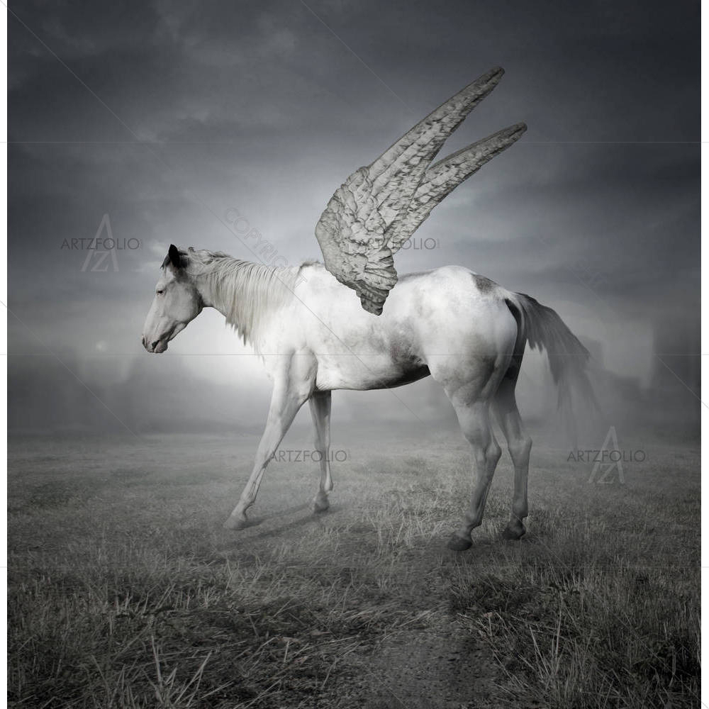 White Horse With Wings — custom-size art design 5002030