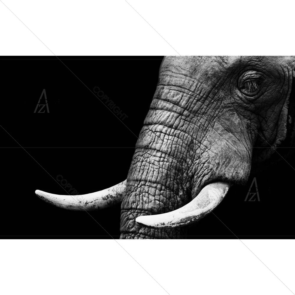 Elephant D4 — custom-size art design 5002035