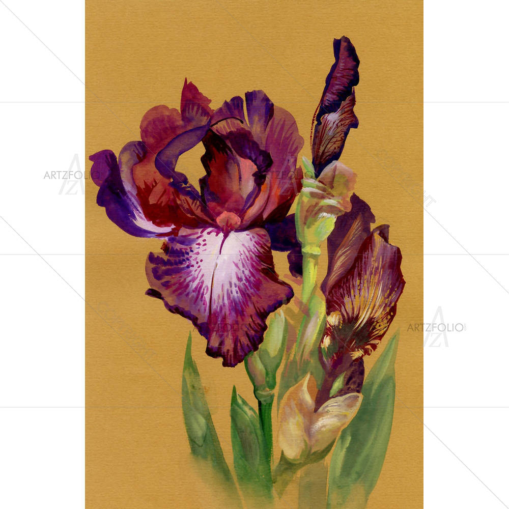 Watercolor Flower Collection — custom-size art design 5002043