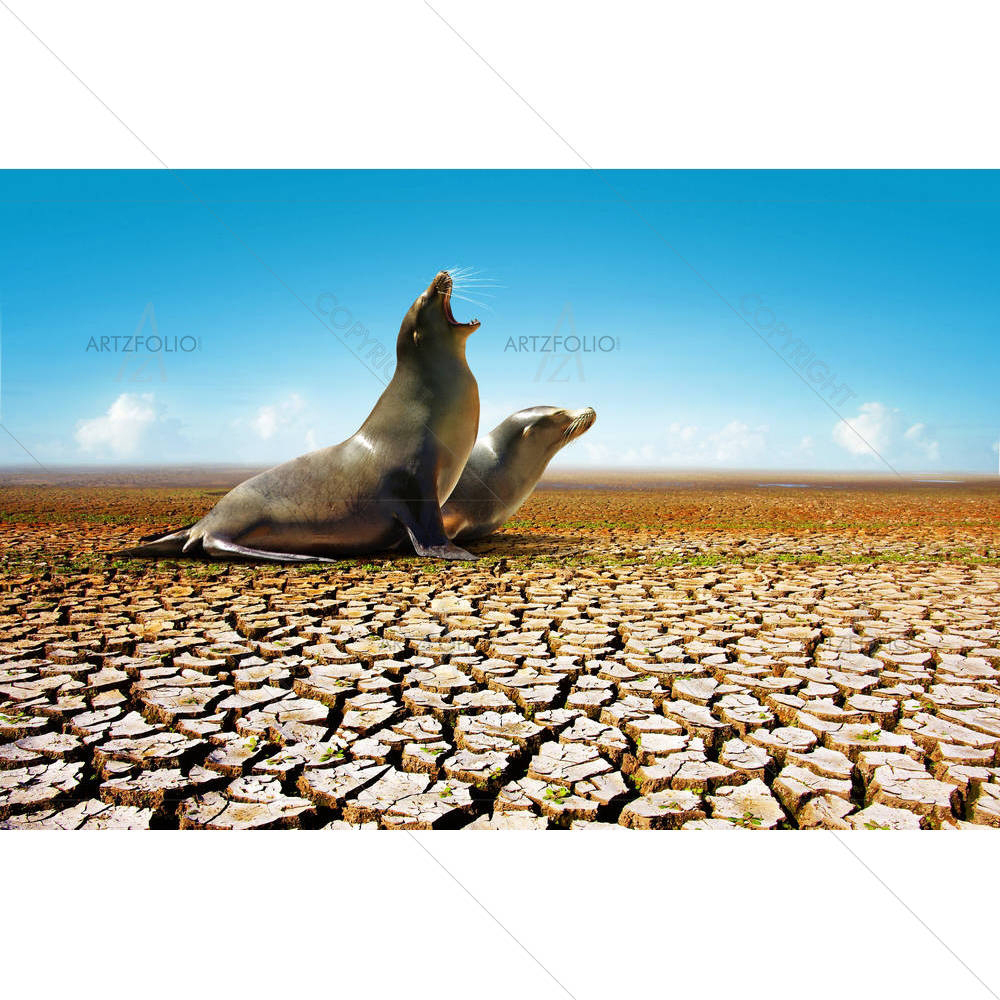 Suffering Seals — custom-size art design 5002053