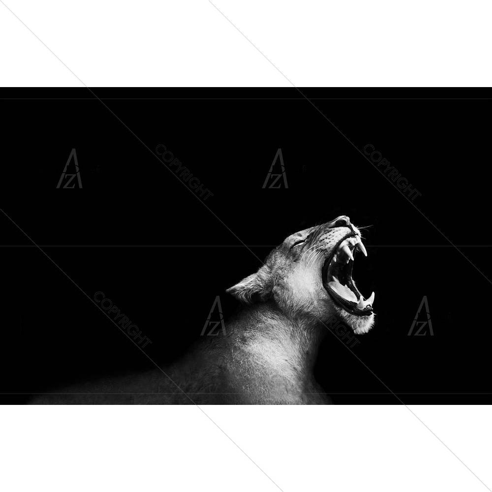 Lion Roaring — custom-size art design 5002062