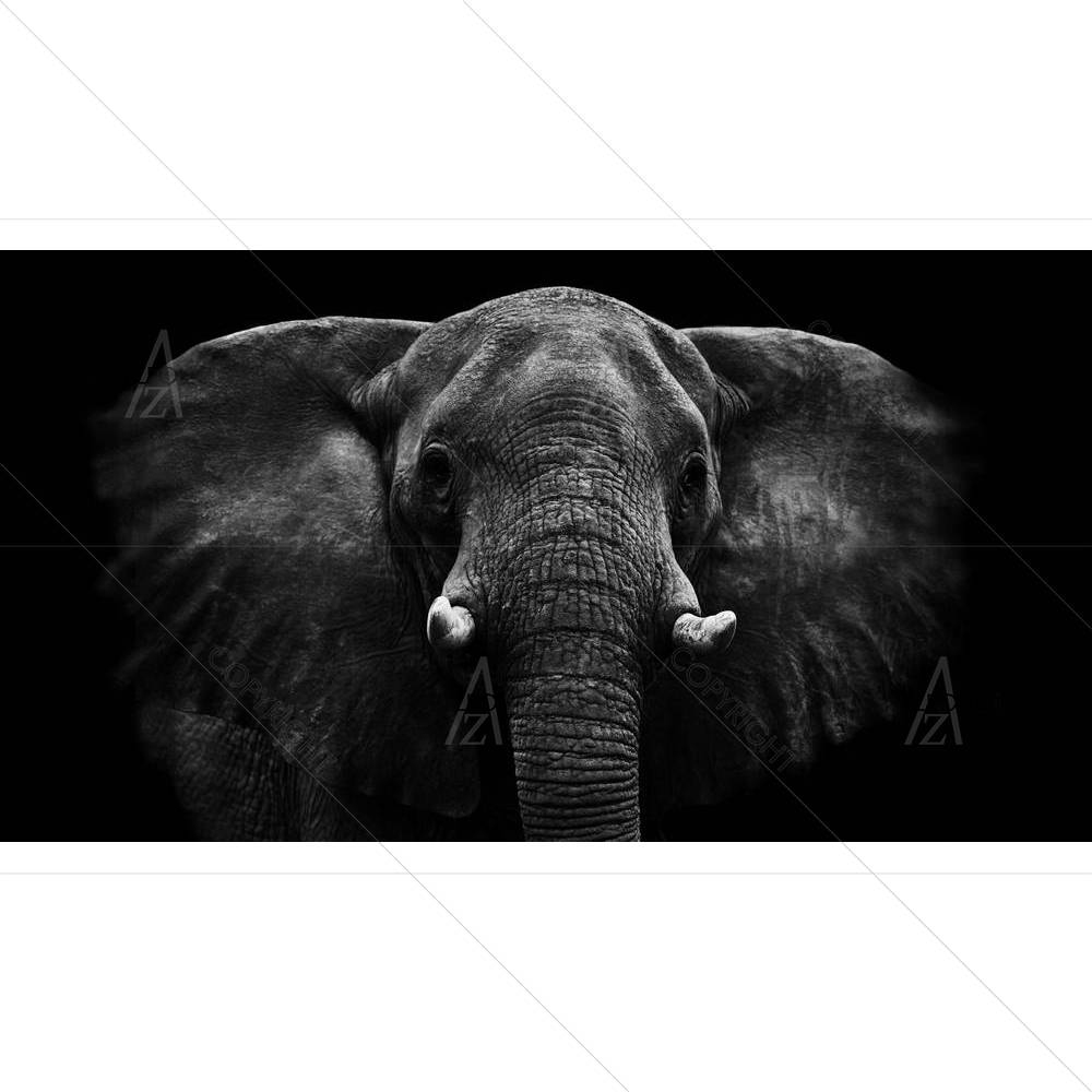 Elephant D5 — African custom art by ArtzFolio
