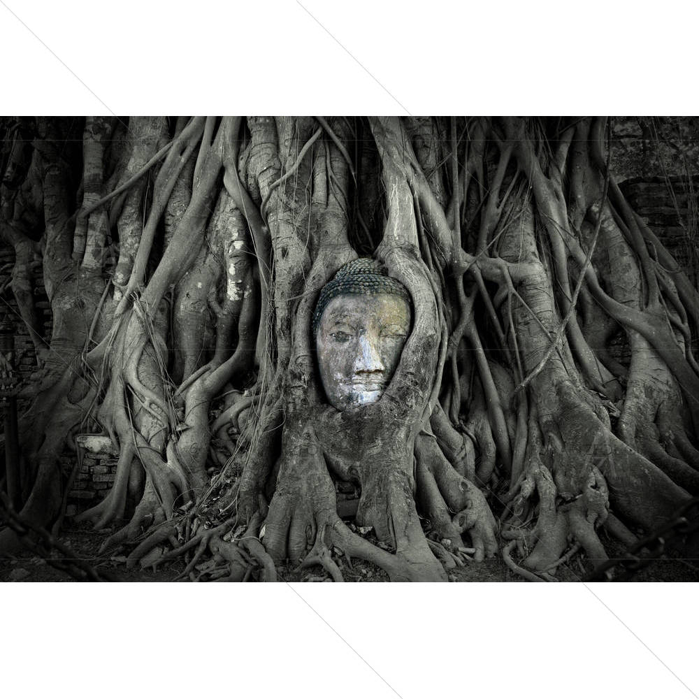 Buddha In Tree Roots At Ayutthaya Thailand — custom-size art design 5002160
