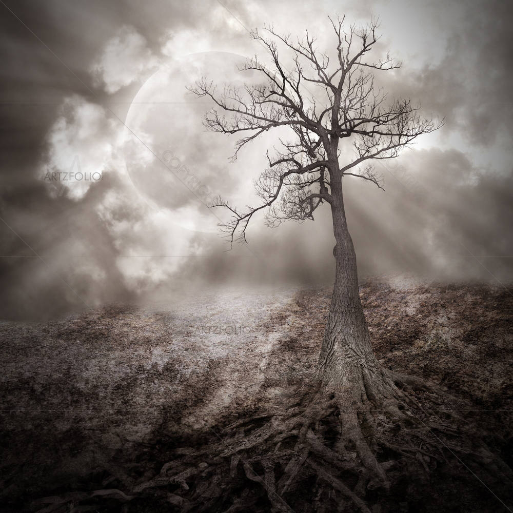 Old Dark Roots — Fantasy custom art by ArtzFolio