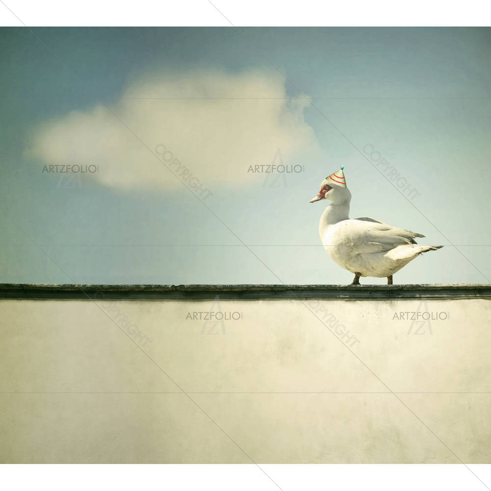 Duck Walking On The Ledge Of The Wall — Ancient custom art by ArtzFolio