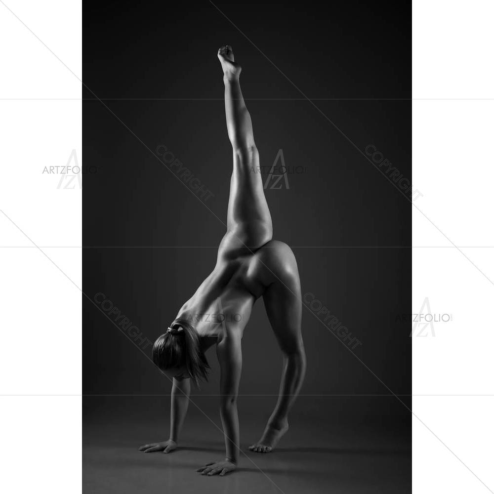 Female Gymnast Posing D2 — custom-size art design 5002190
