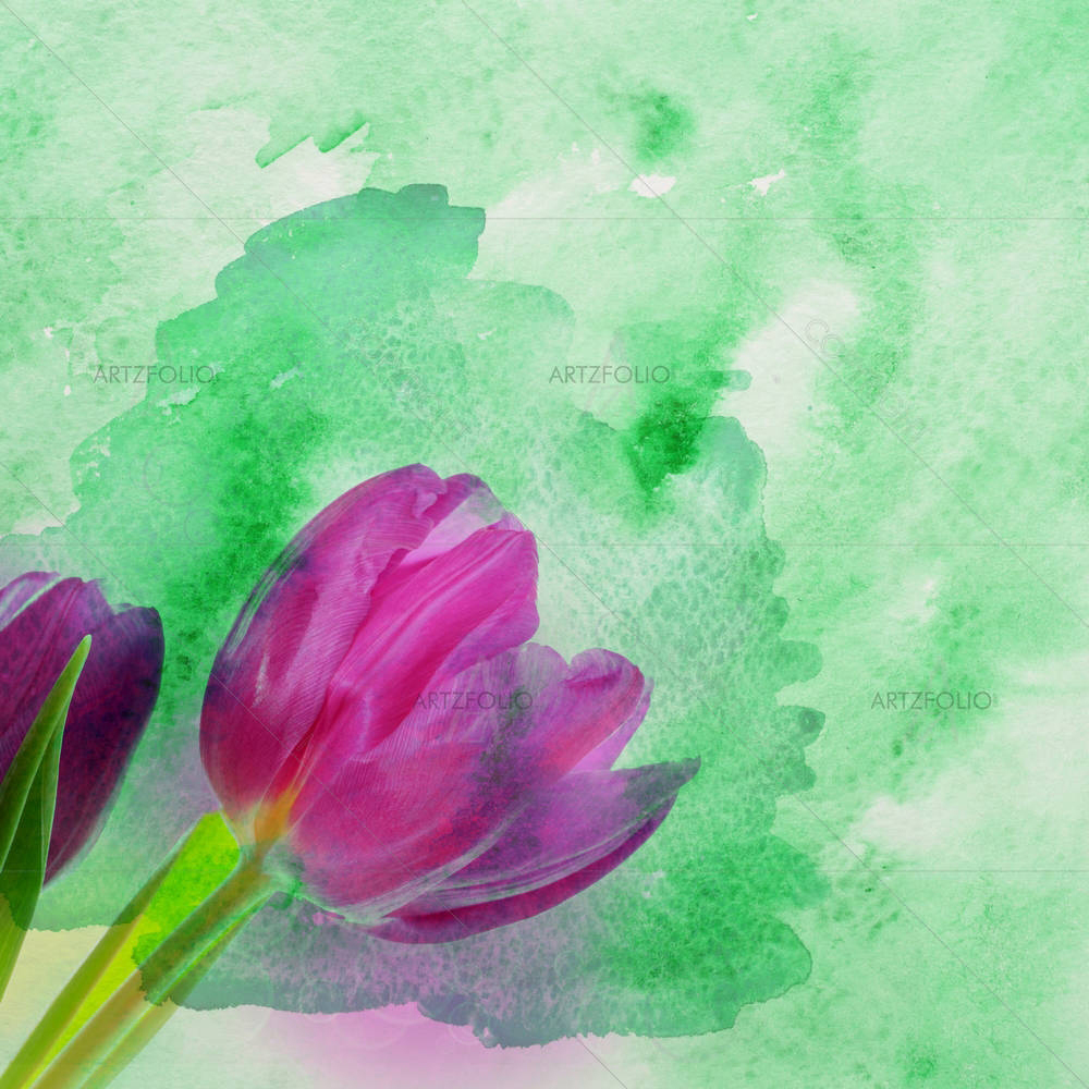 Tulip Flowers D1 — custom-size art design 5002213