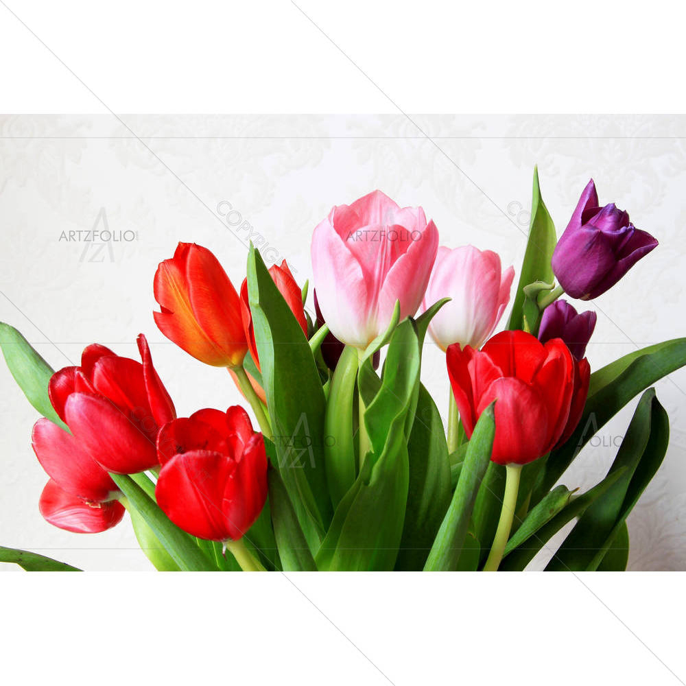 Colorful Tulips D2 — Botanical custom art by ArtzFolio