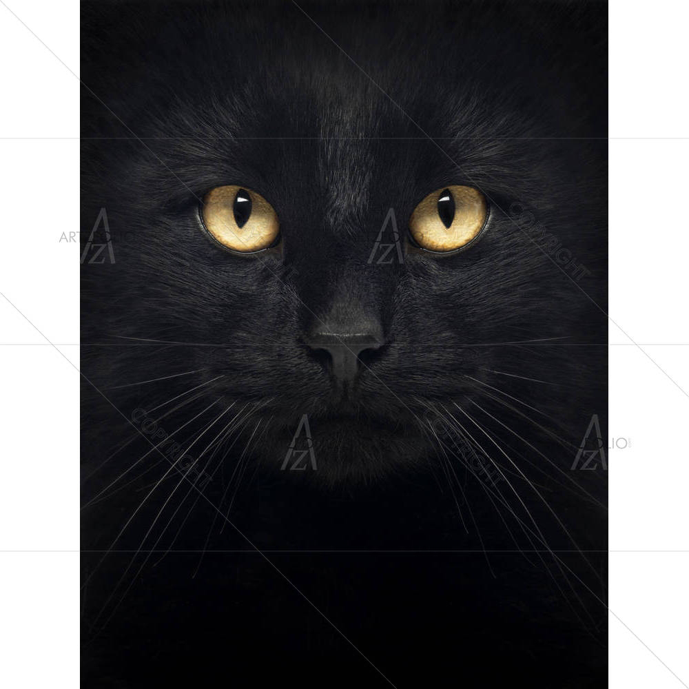 Black Cat — custom-size art design 5002243