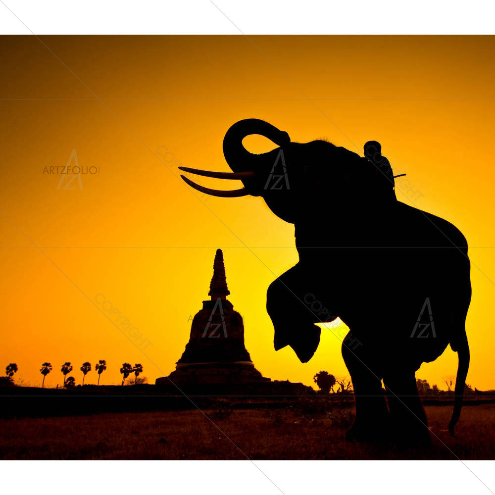 Elephant Ayutthaya Thailand — custom-size art design 5002246