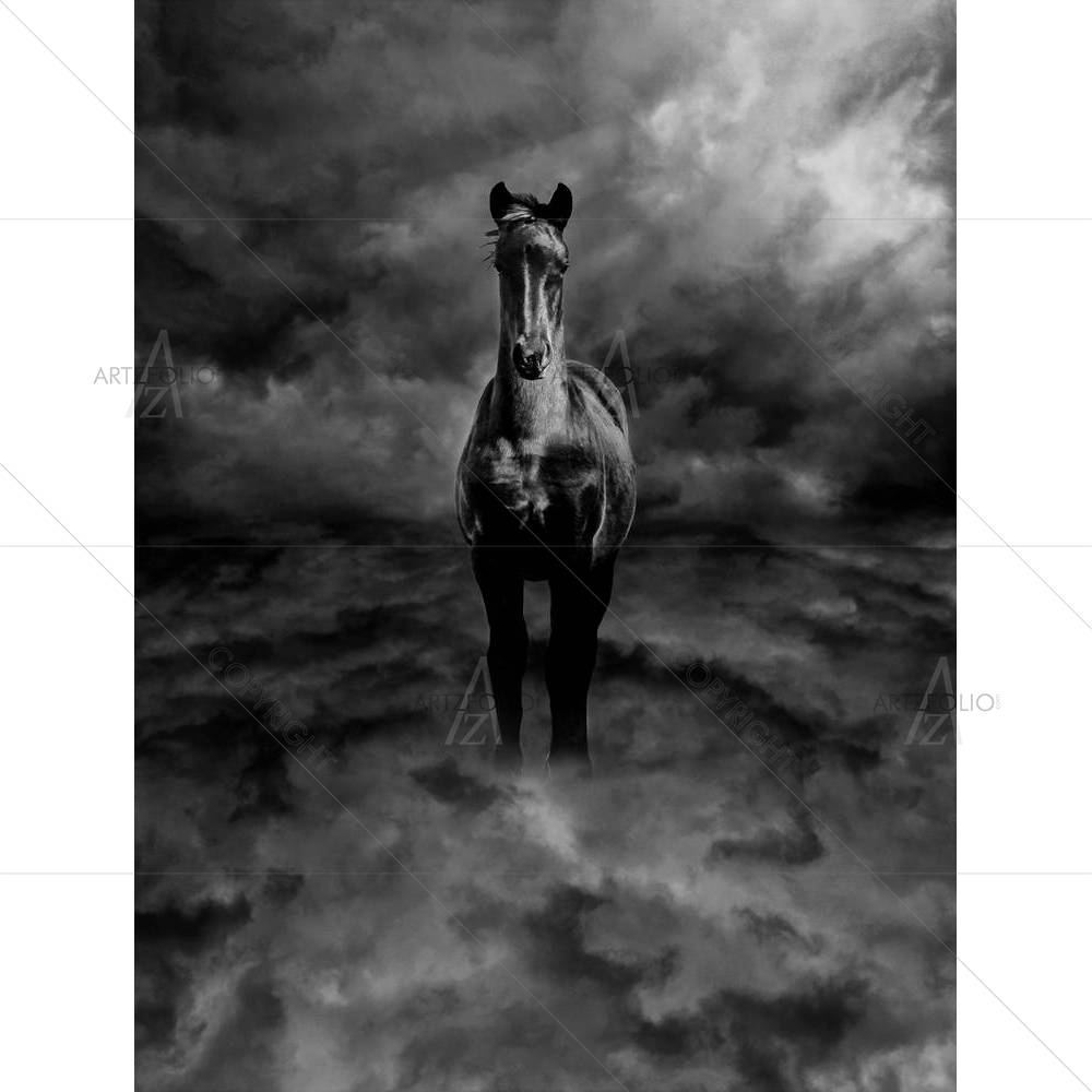 Black & White Pegasus — custom-size art design 5002299