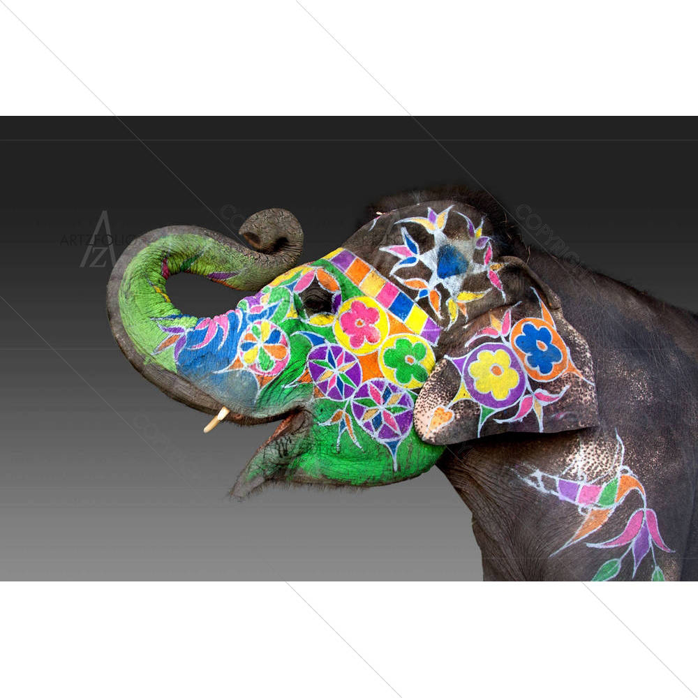 Elephant Decorated For Holi In Jaipur India — custom-size art design 5002302