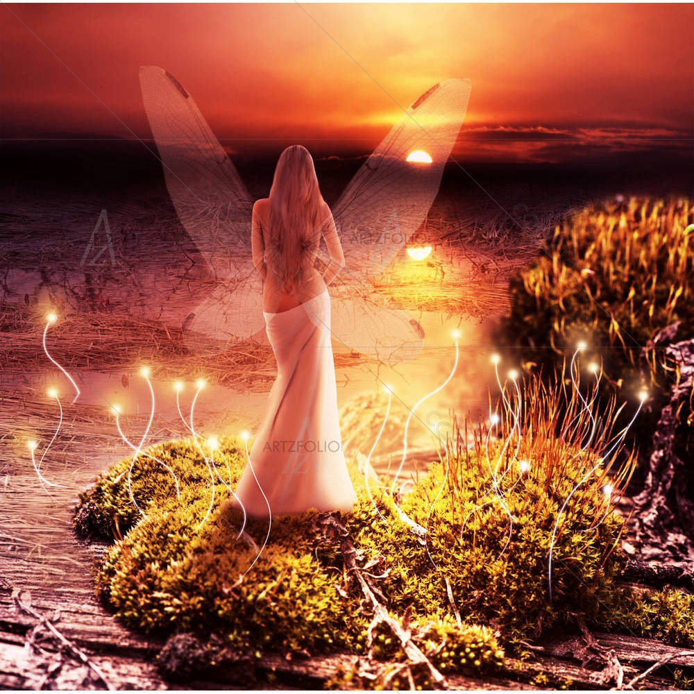 Fairy With Transparent Wings — custom-size art design 5002321