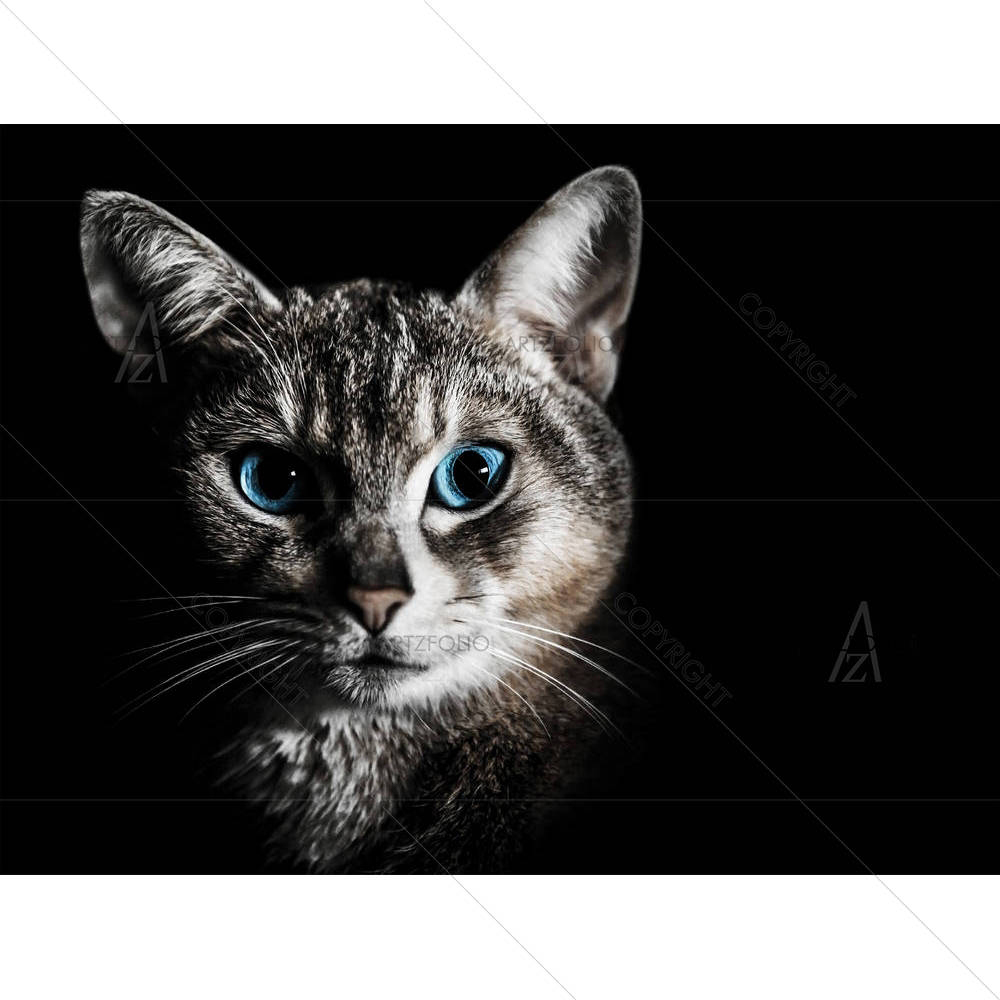 Cat Portrait D1 — custom-size art design 5002323
