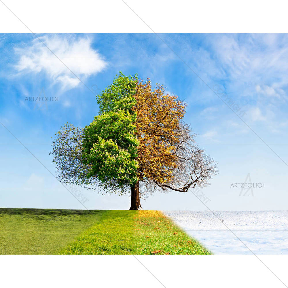 Four Seasons Tree Concept — custom-size art design 5002355