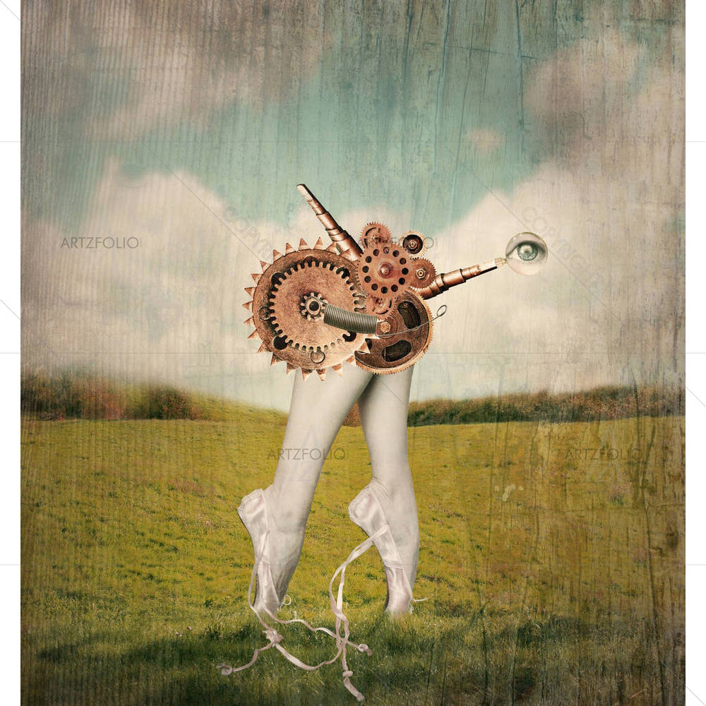 Classic Ballerina In A Ballet Slippers — custom-size art design 5002365