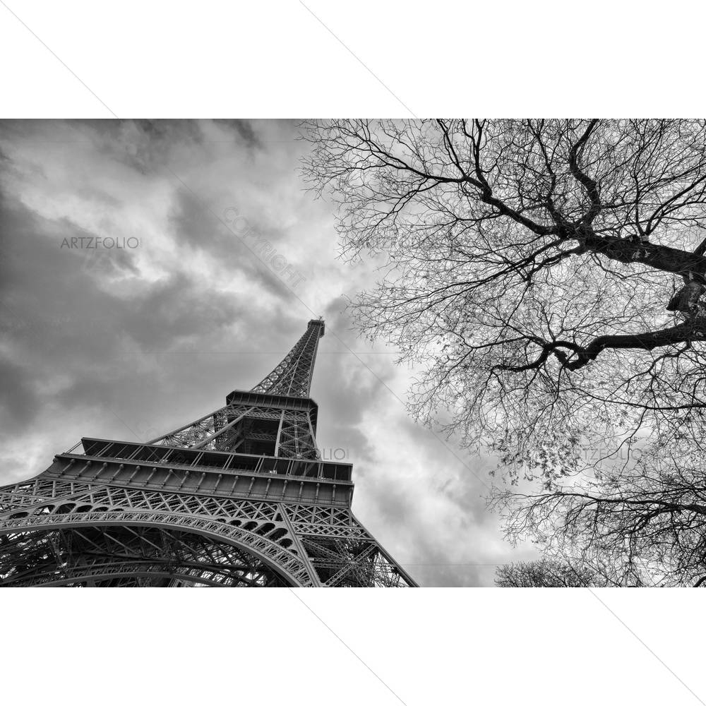 Eiffel Tower With Vegetation — custom-size art design 5002391