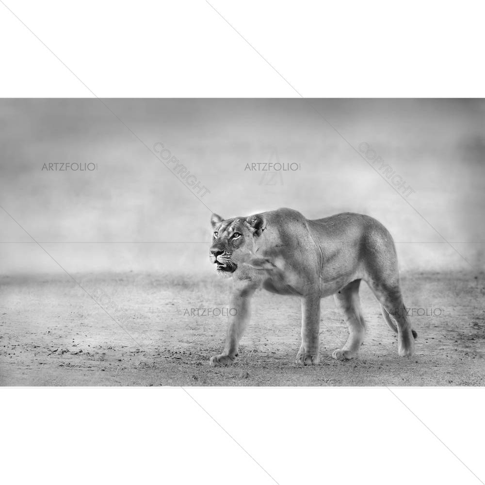 Lion D1 — custom-size art design 5002416