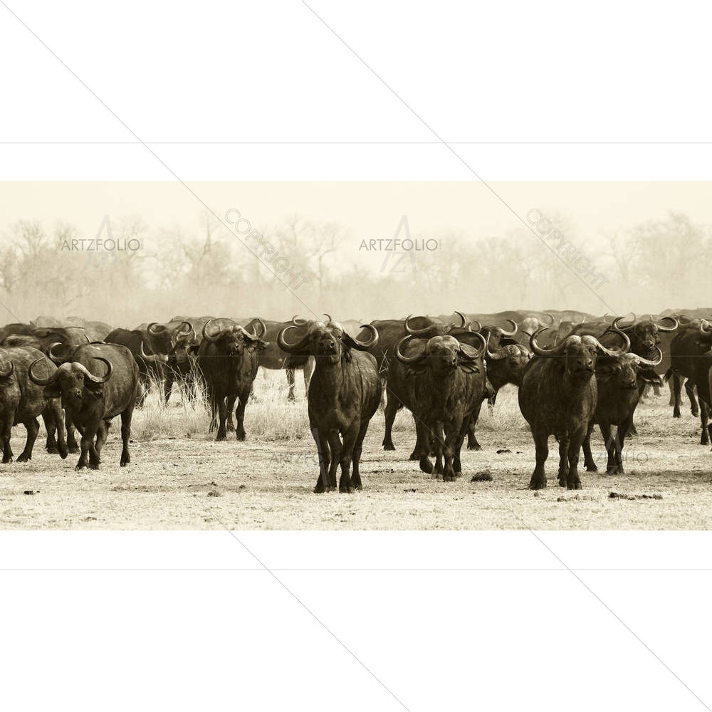 African Buffalo Herd — African custom art by ArtzFolio