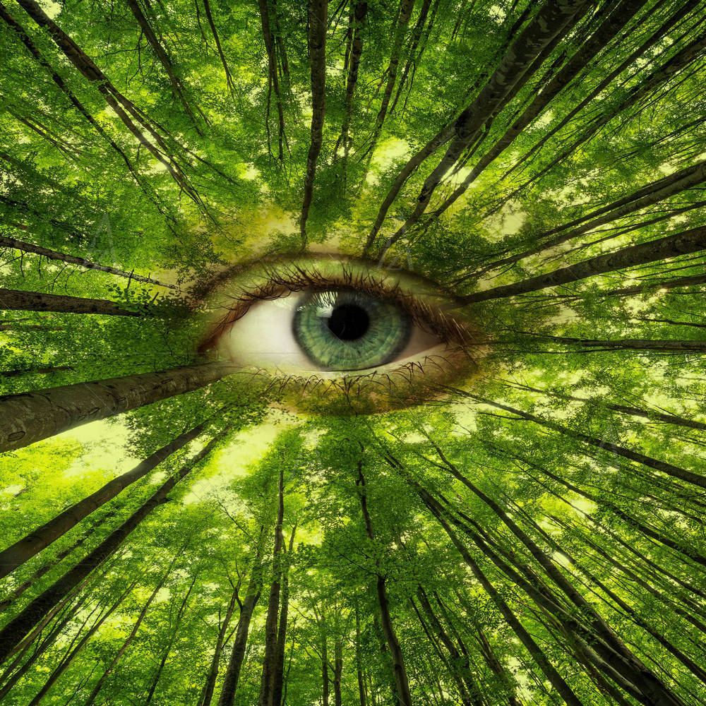 Ecology Concept — custom-size art design 5002460