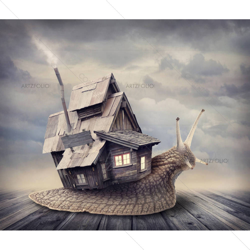 Snail With A Shell House — custom-size art design 5002468