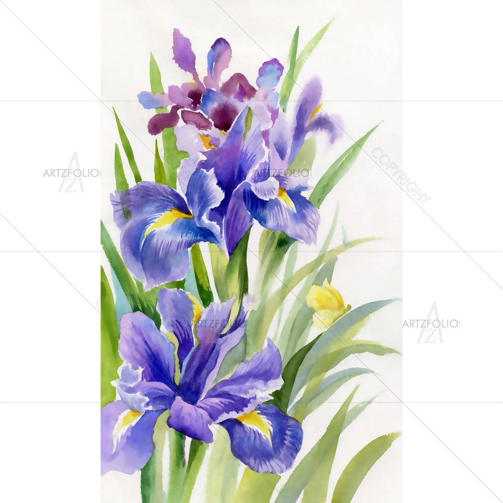 Flower Collection Irises — custom-size art design 5002474
