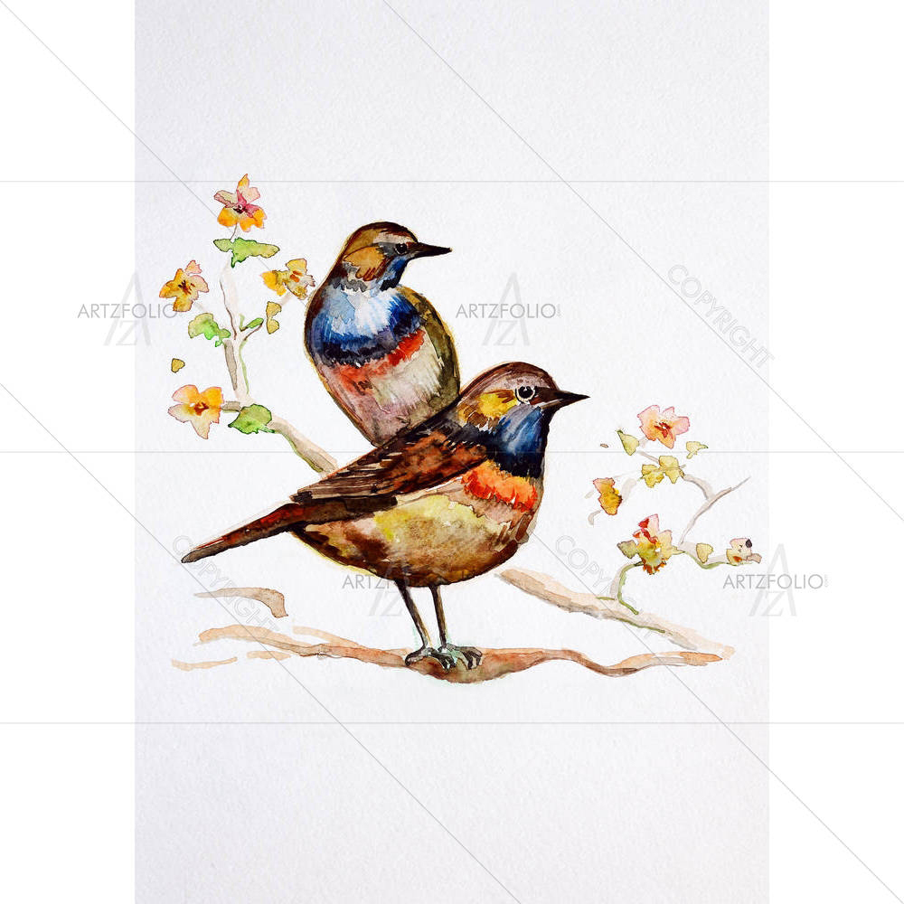 Watercolor Bird D2 — custom-size art design 5002481
