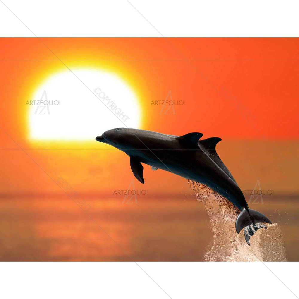 Two Dolphins — custom-size art design 5002493