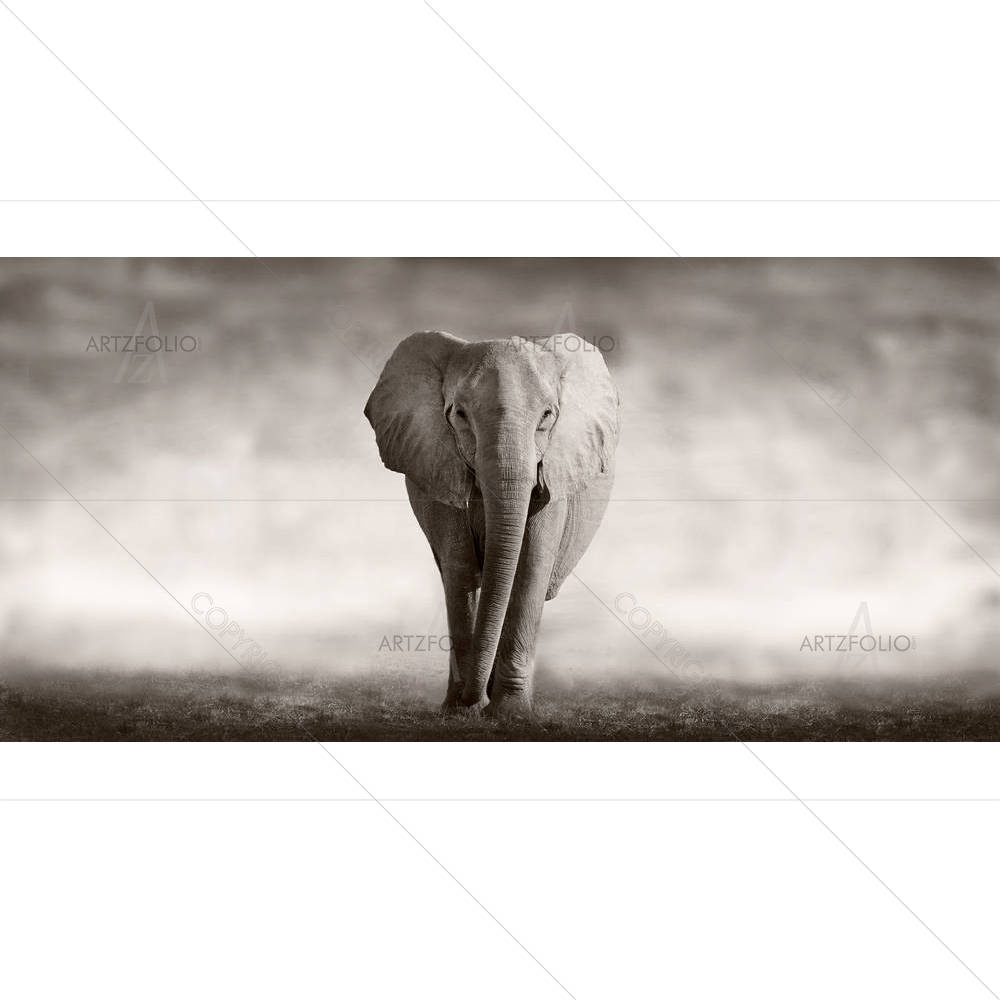 Wild African Elephant D1 — custom-size art design 5002516