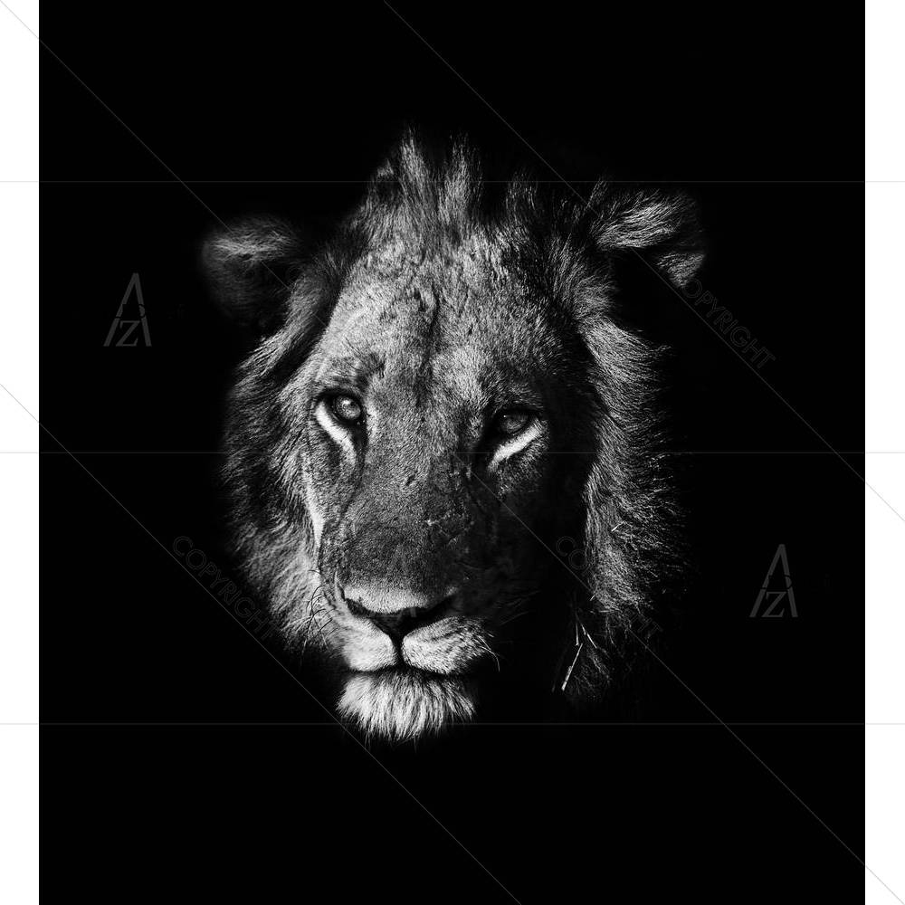 Lion D4 — African custom art by ArtzFolio