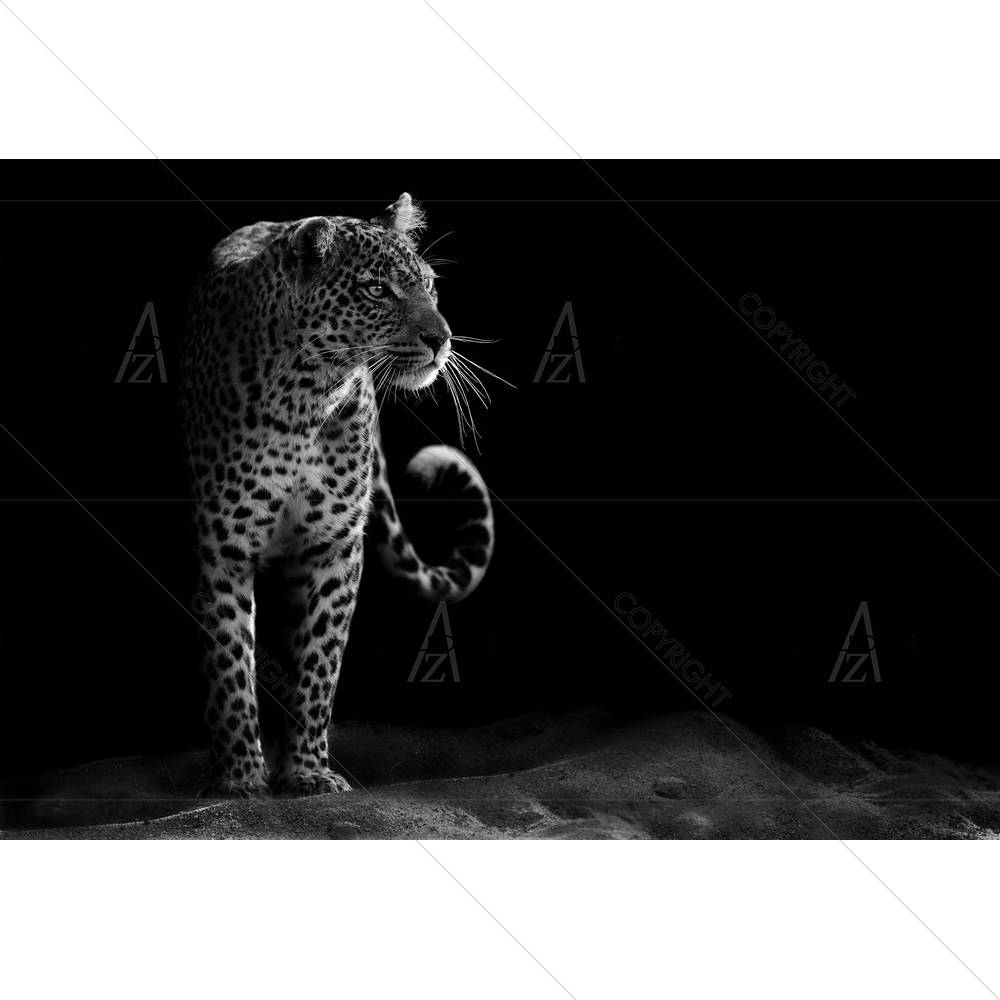 Leopard D2 — custom-size art design 5002530