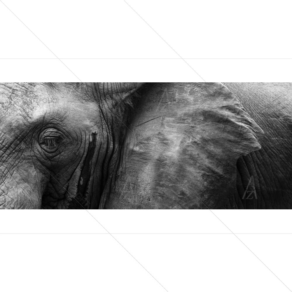 African Elephant Eye & Ear — custom-size art design 5002548