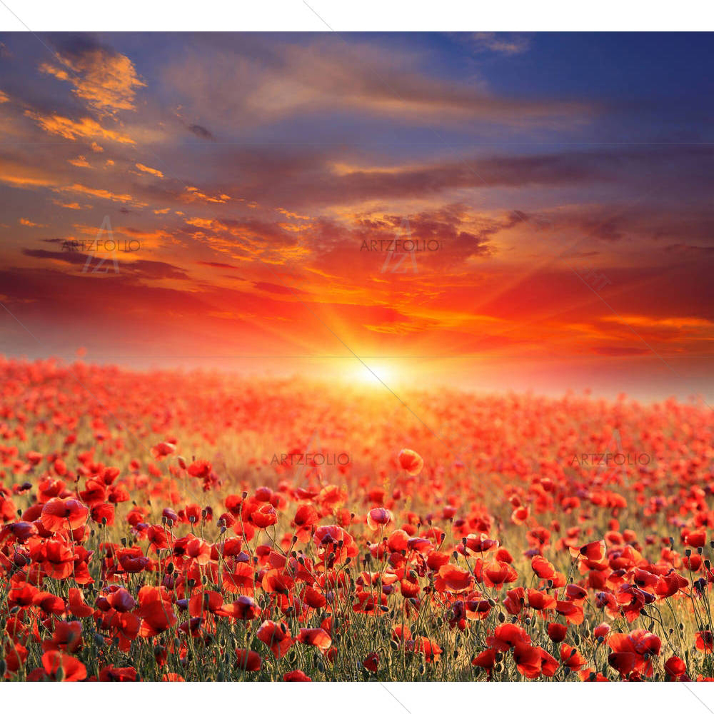 Sunset Over Poppy Field — custom-size art design 5002559