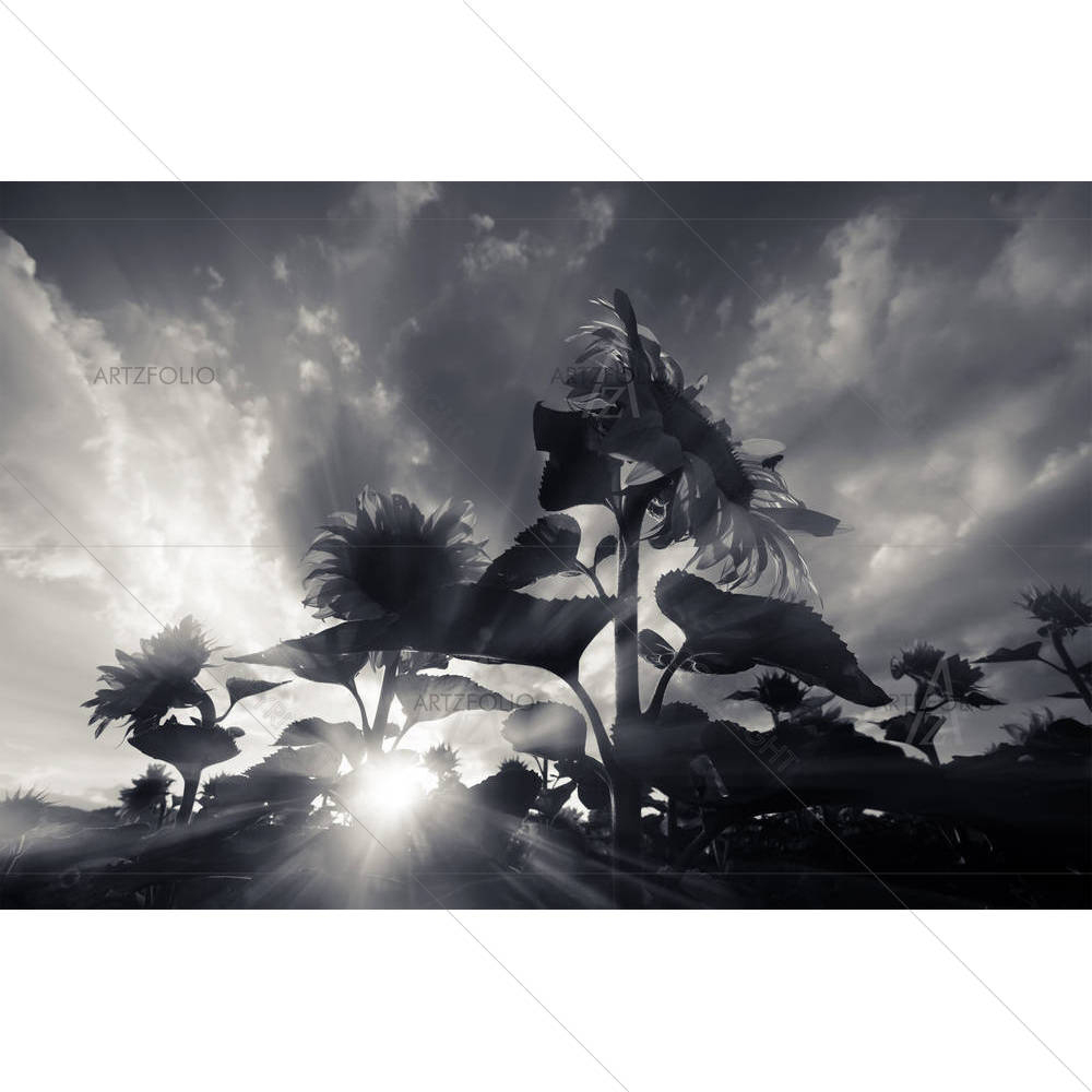 Abstract Landscpe — custom-size art design 5002560